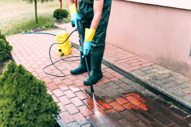 Best Gutter Cleaning and Brightening in Hillsboro, WI